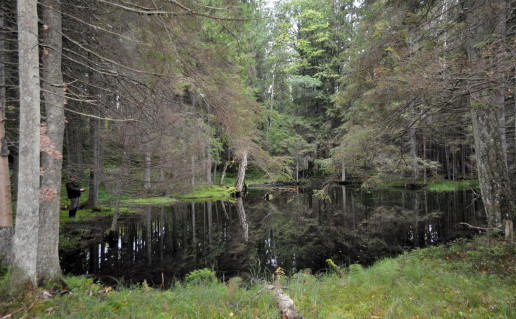 10_Pilelio saltinis. G.Sidabrienes n..jpg